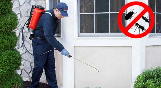 Nazilli Dezenfeksiyon böcek ilaçlama ve haşere kontrolü — ilaclama-tr.com